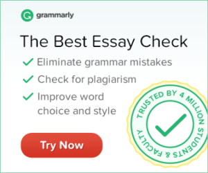 grammarly best essay check
